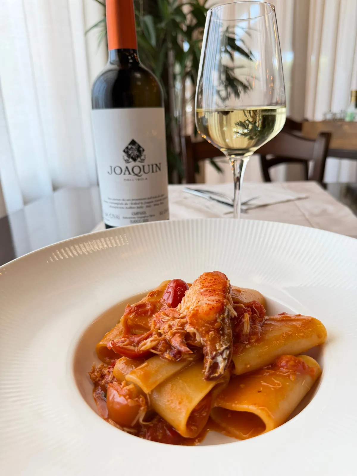 Un piatto di paccheri con lo scampo